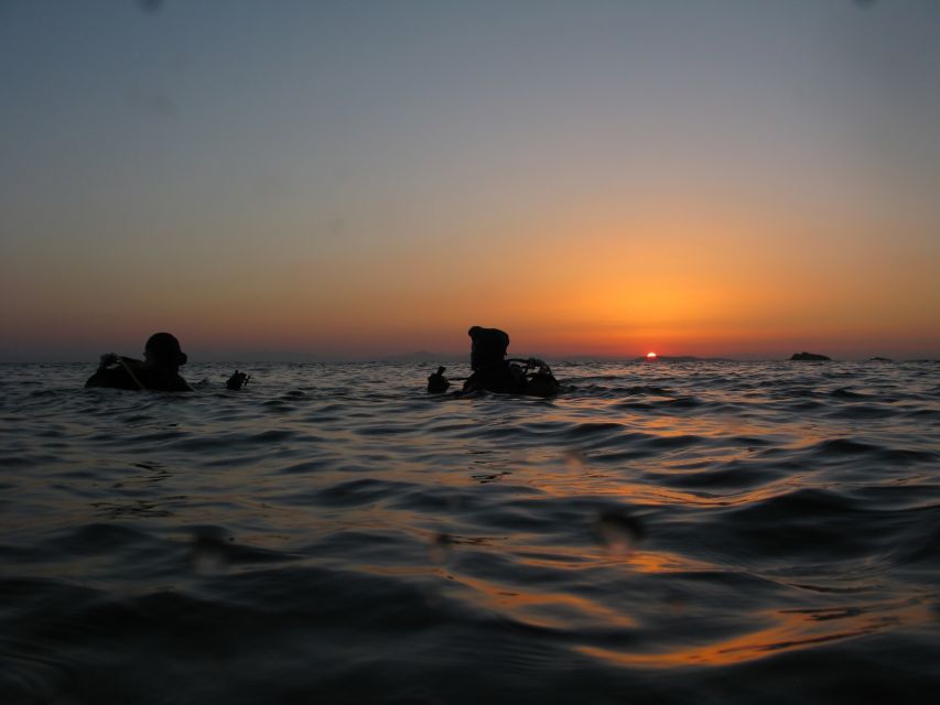 Athens: Adventure Dives in Nea Makri for Certified Divers - The 90-minute break between sessions