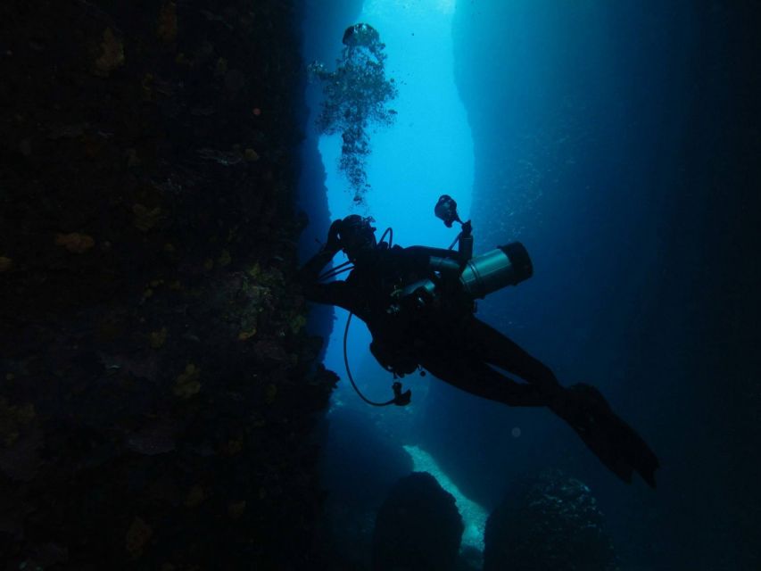 Athens: Adventure Dives in Nea Makri for Certified Divers - Who should book this outing