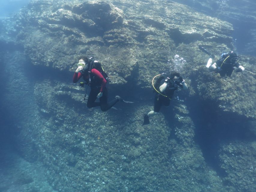 Athens: Private Discover Scuba Diving for Beginners - A gentle first step into scuba near Athens