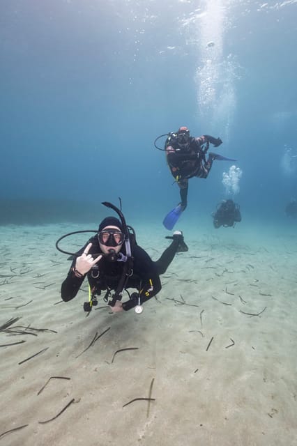 Athens: Single or Double Scuba diving for certified divers - Why the certification rule matters