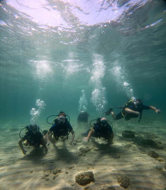 Athens: Try Scuba Diving - Who will enjoy this most