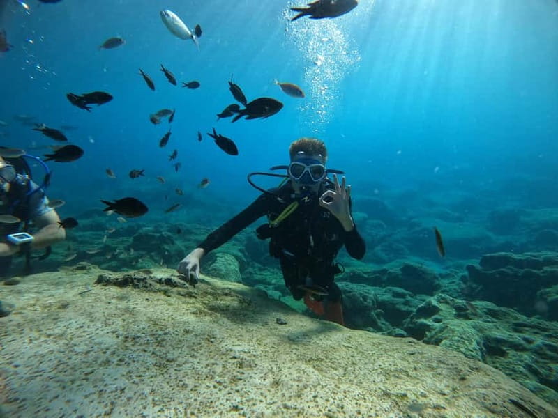 Ayia Napa: Beginners Discover Scuba Diving Experience - Why Musan makes a strong first underwater outing