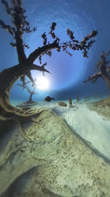 Ayia Napa: Musan Underwater Museum Scuba Dive - Entering the 10 to 11 Meter Underwater Museum