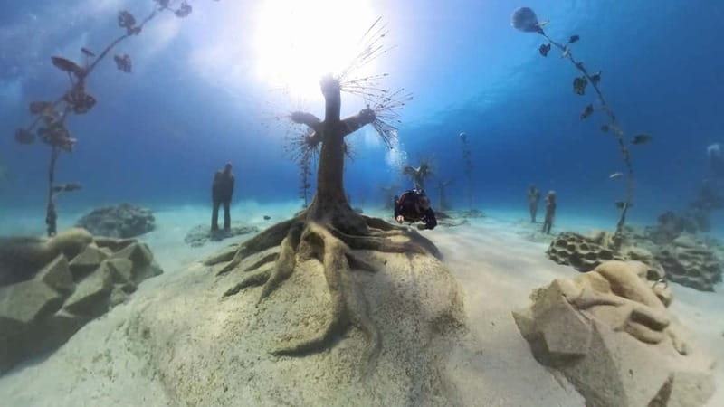 Ayia Napa: Musan Underwater Museum Scuba Dive - The Underwater Forest and the Museum’s Message