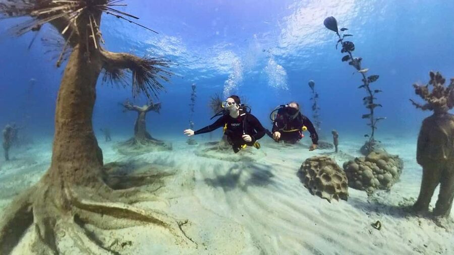 Ayia Napa: Musan Underwater Museum Scuba Dive - What the $187 Price Includes