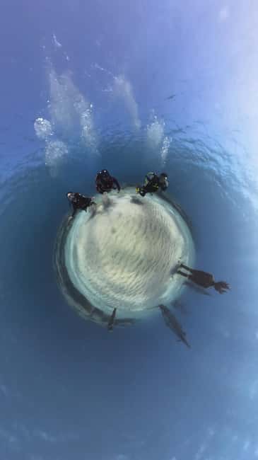 Ayia Napa: Musan Underwater Museum Scuba Dive - The Briefing Makes the Difference for Beginners
