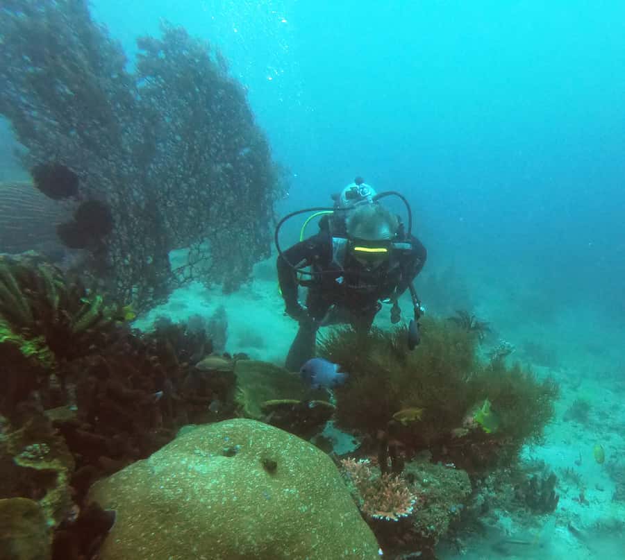 Bali: 2-Day PADI Advanced Open Water Course - What this PADI course is really designed to teach
