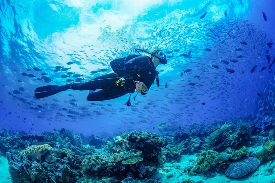 Bali: 3-Days PADI Open Water Diving Course - Three days from first lesson to PADI certificate