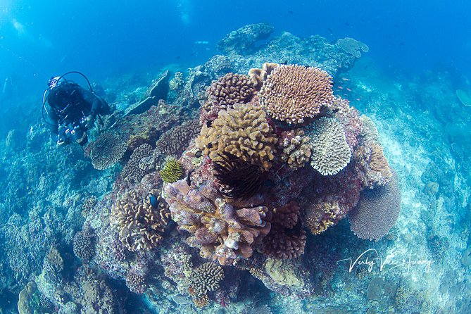 Bali Diving Day Trip-Manta Point/Tulamben Shipwreck-Fun Dive - What happens before your first underwater session