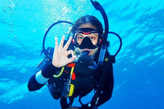 Bali Diving for Beginners: Tulamben Liberty Wreck - Why the Liberty Wreck works for first-time scuba
