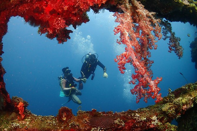 Bali Diving for Beginners: Tulamben Liberty Wreck - Entering the USAT Liberty Wreck