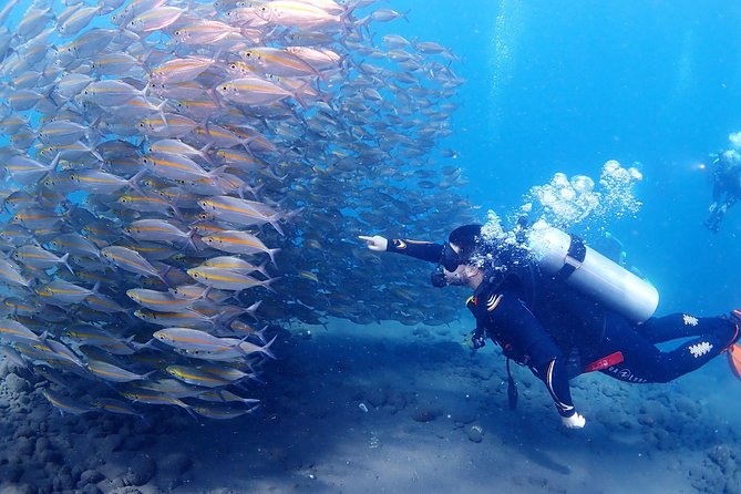 Bali Diving for Beginners: Tulamben Liberty Wreck - What is included for $89