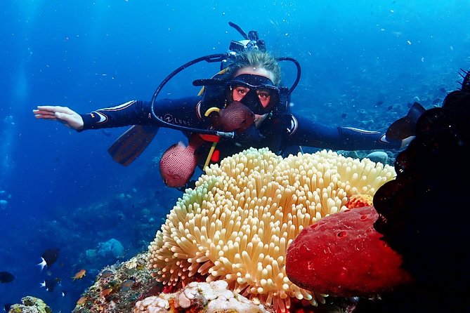 Bali Diving for Beginners: Tulamben Liberty Wreck - Who will enjoy this experience most