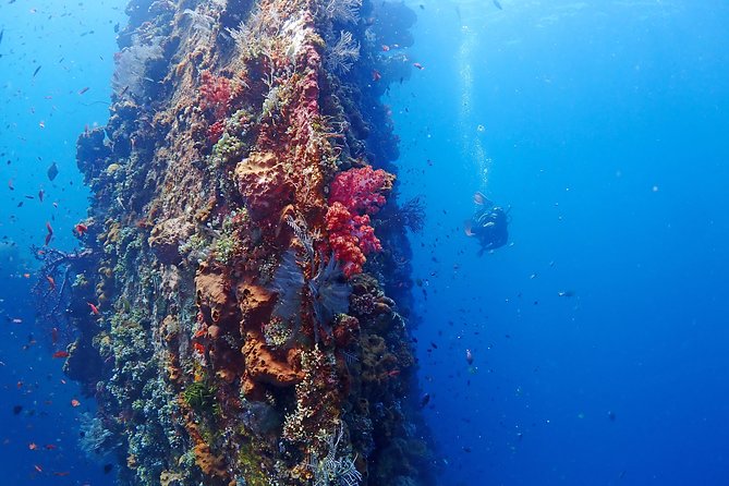 Bali Diving for Beginners: Tulamben Liberty Wreck - Practical details that can affect your day