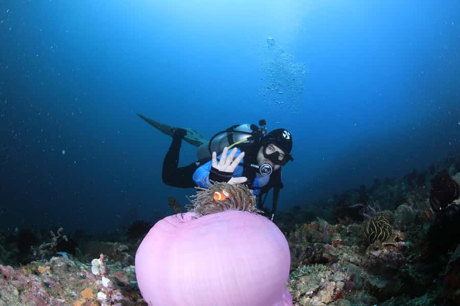 Bali/Nusa Penida: 3 Fun Dives to Manta Point, Mola & Reef - What the guides and equipment add