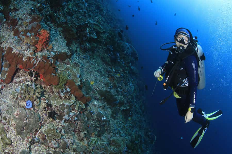 Bali/Nusa Penida: 3 Fun Dives to Manta Point, Mola & Reef - Who should book this Nusa Penida outing?