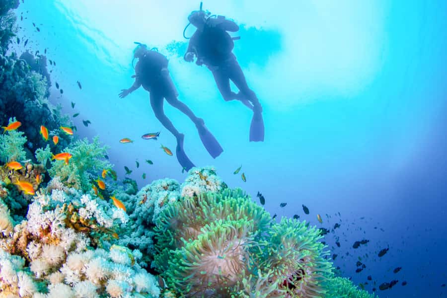 Bali: Padangbai Blue Lagoon Beginner's Dive Experience - Key points to know before booking