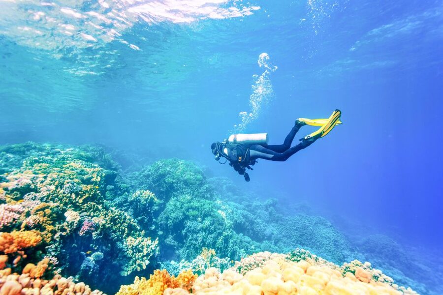Bali: Padangbai Blue Lagoon Beginner's Dive Experience - Lunch, beach time, and the value of the $112 price