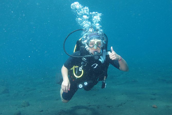 Bali Scuba Diving trip at Tulamben for Certified Diver - Is $98.34 a fair price?