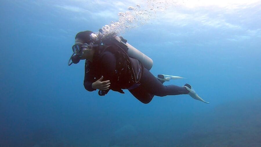 Bali: Try Scuba Diving day trip to Nusa Penida pool+2 dives - Is $221 a fair price?