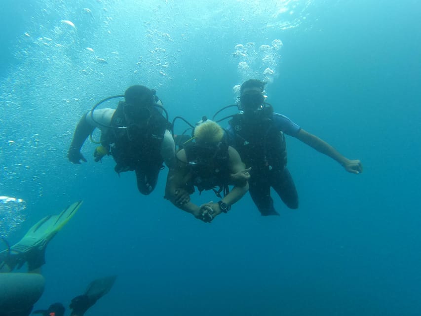 Bali: Try Scuba Diving day trip to Nusa Penida pool+2 dives - Who should book this experience?