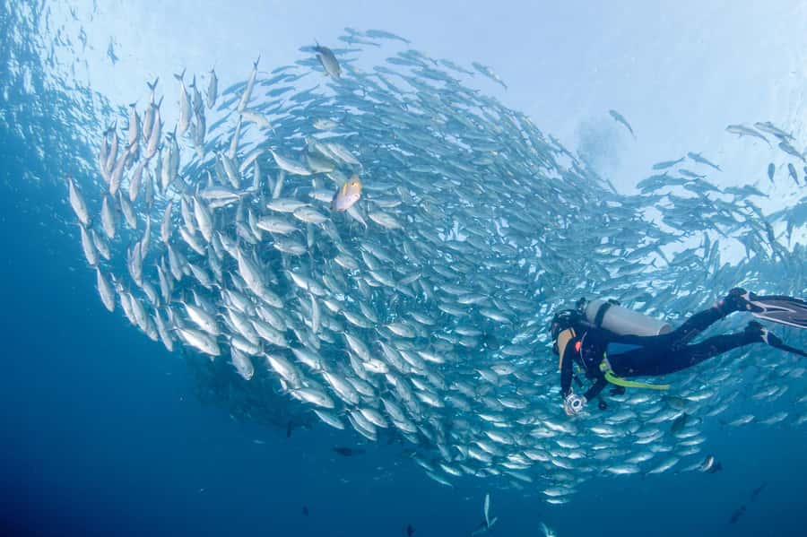 Bali: Tulamben Bay and the USAT Liberty Wreck Dive - The Morning Road to Tulamben