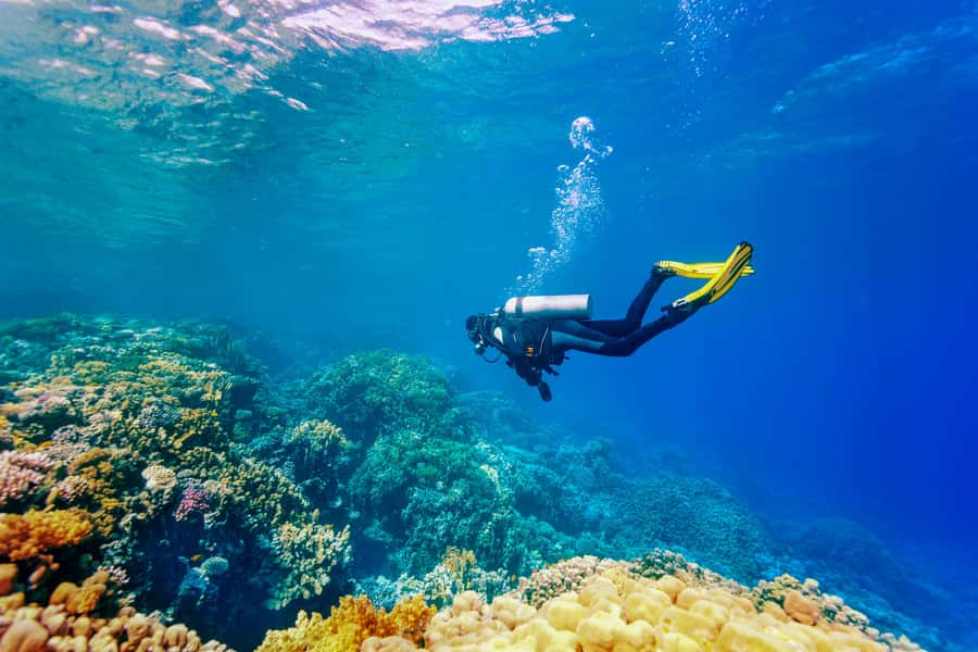 Bali: Tulamben Bay Beginner's Dive Experience - The early pickup and long road to Tulamben