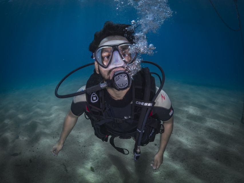 Barcelona: PADI Discover Scuba Diving - Who should book, and who should think twice
