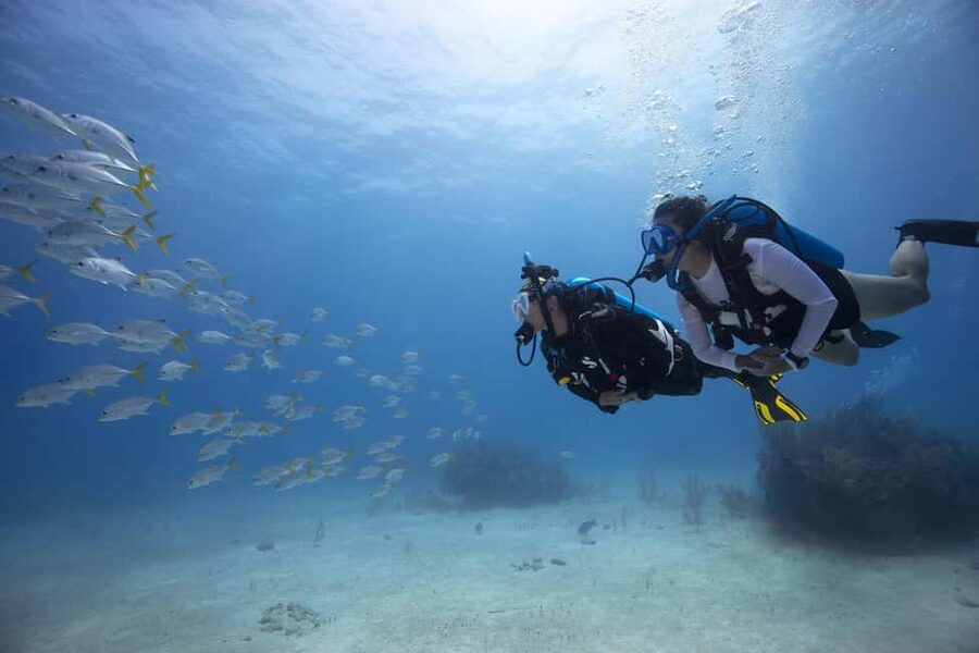 BARCELONA: SCUBA DIVING INITIATION - Dive in and experience underwater adventures - 2 hours - Why this Barcelona sea session works for beginners