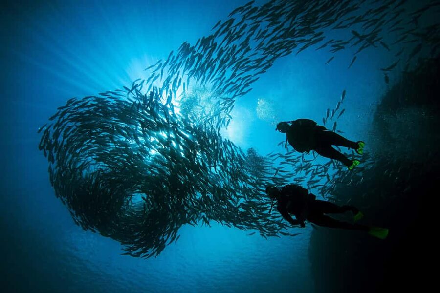 BARCELONA: SCUBA DIVING INITIATION - Dive in and experience underwater adventures - 2 hours - The 45-minute briefing and equipment check