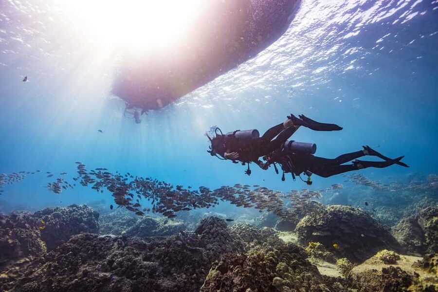 BARCELONA: SCUBA DIVING INITIATION - Dive in and experience underwater adventures - 2 hours - Meeting at the Olympic Port