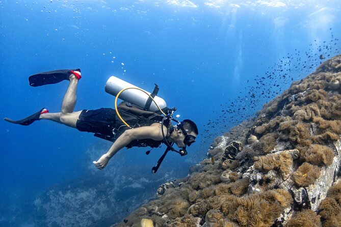 Basic Diver ( One Day Experience) - A gentle first step into scuba at Koh Tao