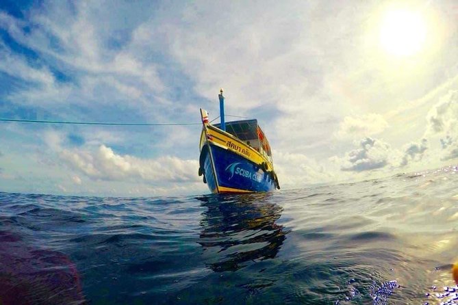Basic Diver ( One Day Experience) - Starting at Koh Tao Scuba Club at 9:00 a.m.