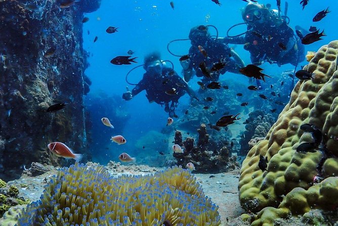 Basic Diver ( One Day Experience) - Weather, cancellation, and planning your day