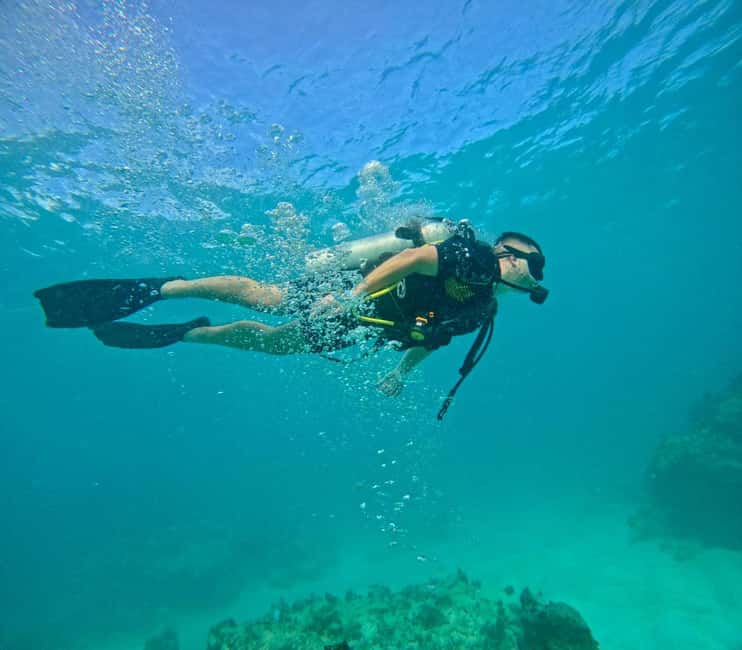 Bávaro: Scuba Diving Experience for Beginners - Key points to know before you book