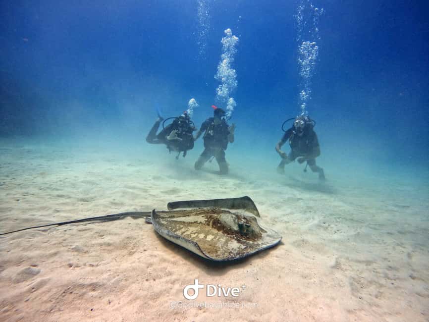 Bayahibe: PADI Open Water Course by Go Dive Bayahibe - Why Bayahibe works well for a first scuba certificate