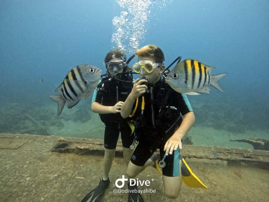 Bayahibe: PADI Open Water Course by Go Dive Bayahibe - Day one: theory review and five shallow-water sessions
