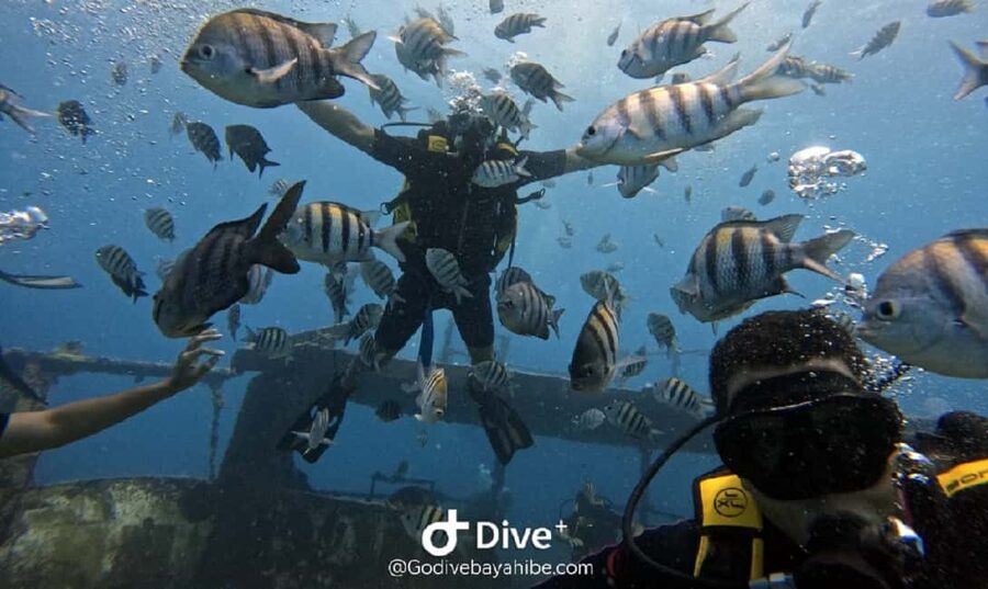 Bayahibe: Scuba Diving Initiation by Go Dive Bayahibe - At the dive school: paperwork, questions, and the first lesson