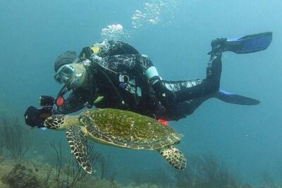 Become certified diver in 3 days – PADI Open Water Diver course on Koh Tao
