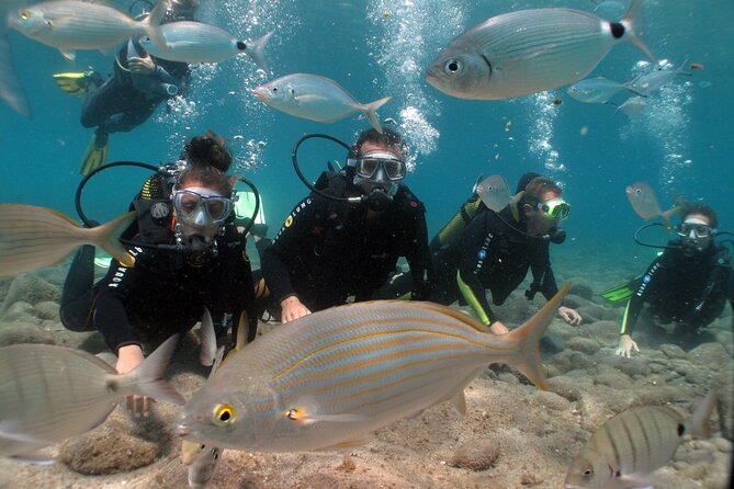 Beginner dive from Playa Chica with Instructor - The first 15 minutes: useful information before the water