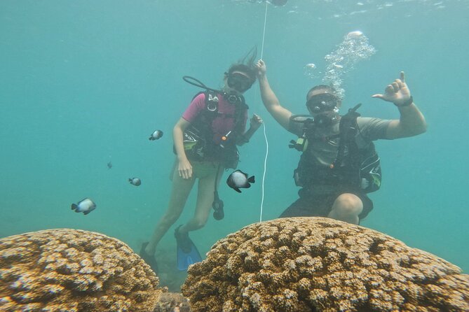 Beginner Scuba Diving Experience with Video Package in Honolulu - The included video is a real value
