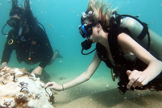 Beginner Scuba Diving Experience With Videos in West Palm Beach - A calm first step into scuba