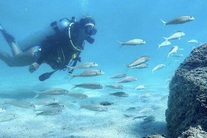 Beginner Scuba Diving Experience With Videos in West Palm Beach - Who will enjoy this experience most?