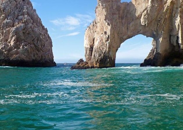 Beginner Scuba Diving in Cabo San Lucas - Key points to know before you book