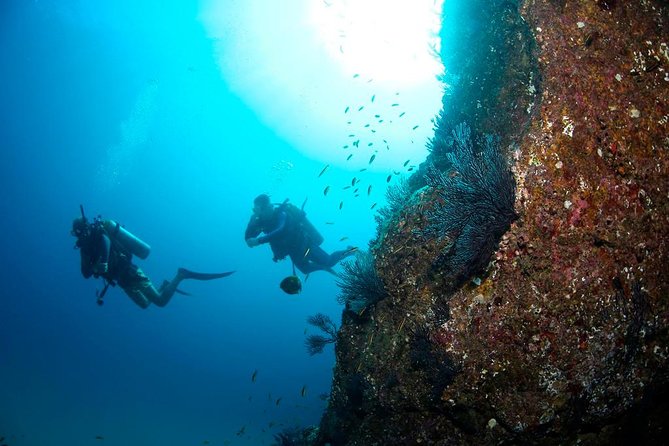 Beginner Scuba Diving in Cabo San Lucas - Why the small group matters for beginners