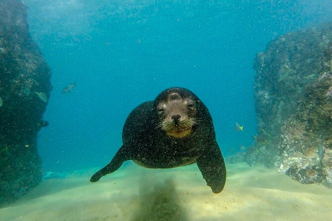 Beginner Scuba Diving in Cabo San Lucas - Stop one: Manta Scuba Diving and the marina departure