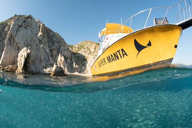 Beginner Scuba Diving in Cabo San Lucas - Stop two: Cabo’s underwater marine park