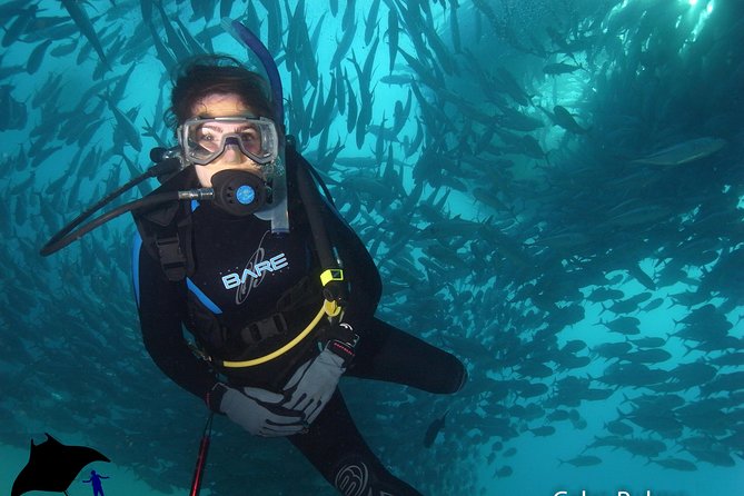 Beginner Scuba Diving in Cabo San Lucas - What the skill practice prepares you to do