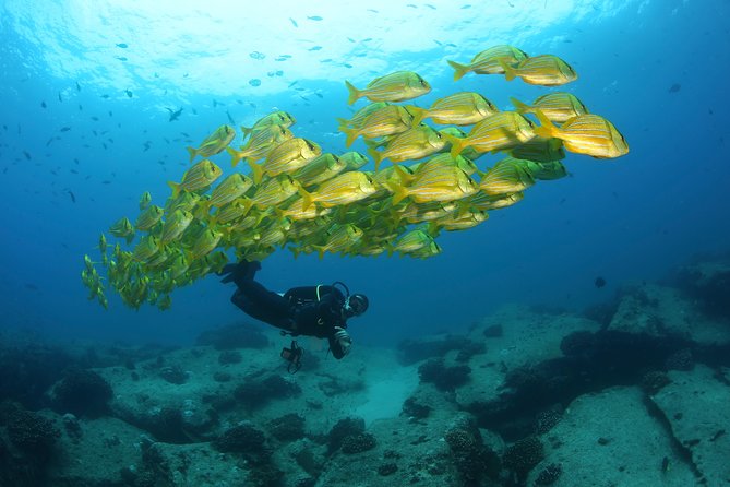 Beginner Scuba Diving in Cabo San Lucas - Meeting Martin, Angela, Julio, and the other instructors