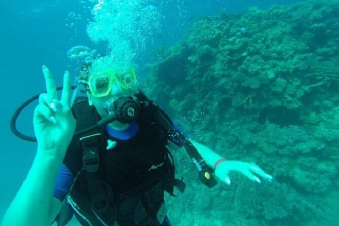 Beginners Scuba Diving, 2 Stops, Full Day Trip & Lunch - Hurghada - What to bring and what to clarify